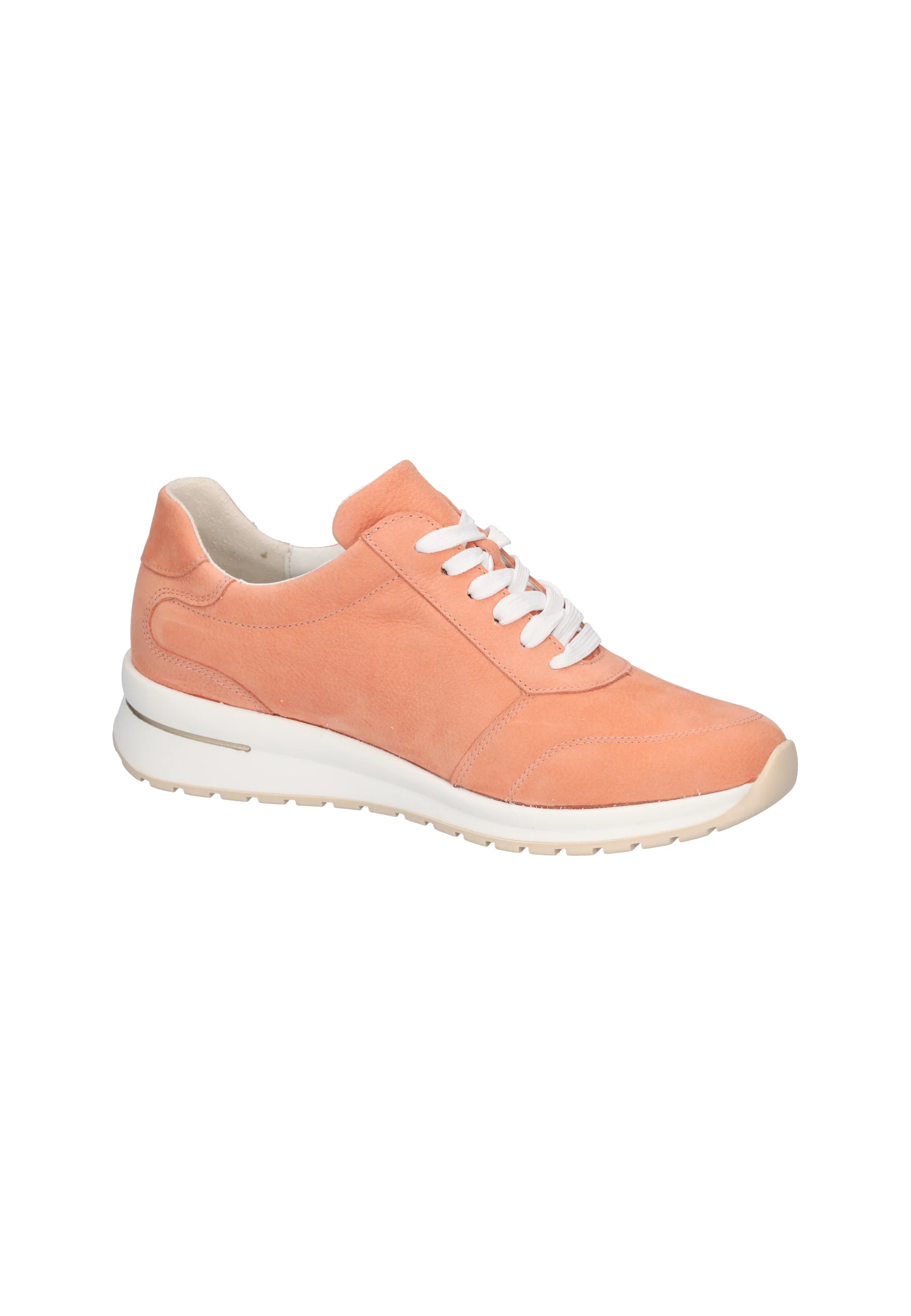 H-Inessa melon - Image 5