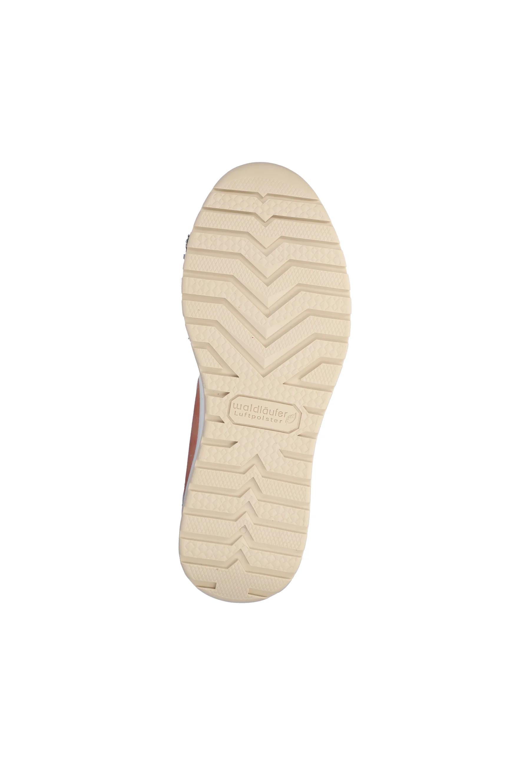 H-Inessa melon - Image 7