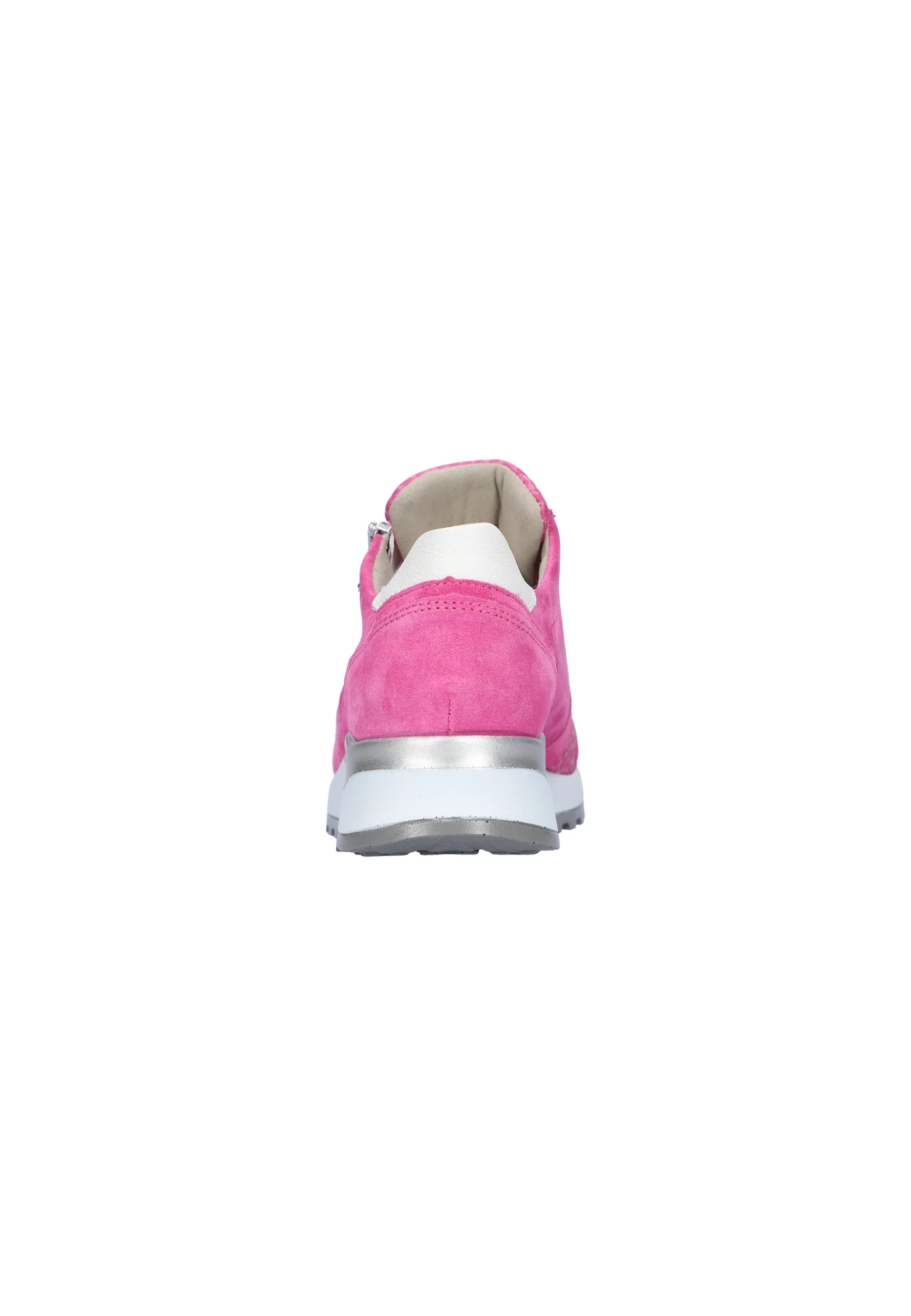 Hiroko orchid weiss - Image 5